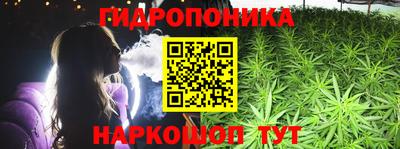 apvp Можга