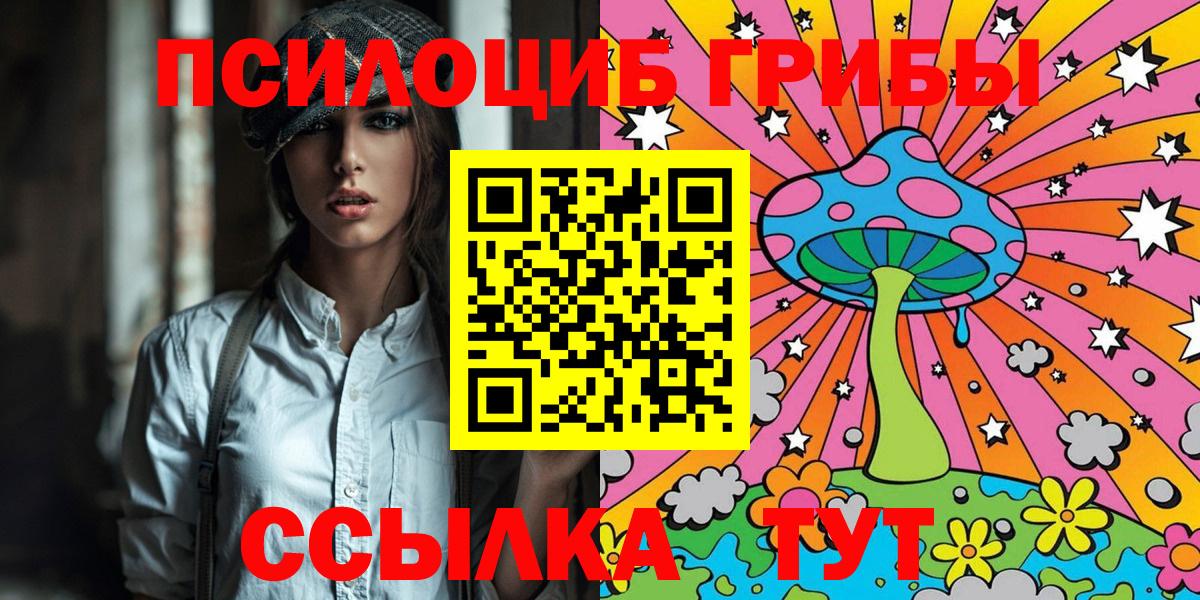 Сланцы  Галлюциногенные грибы Psilocybine cubensis  Вход с VPN  Псилоцибиновые грибы мухоморы 