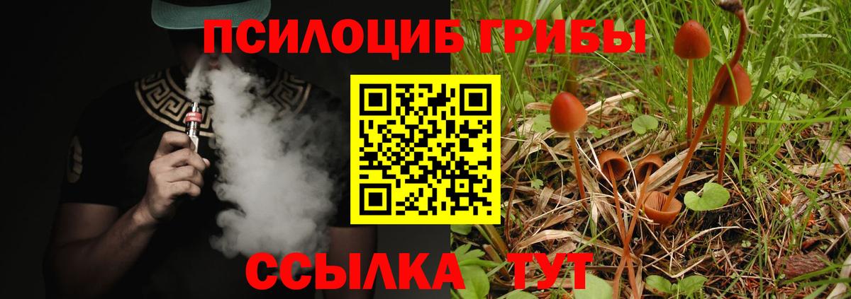 Псилоцибиновые грибы GOLDEN TEACHER Сланцы