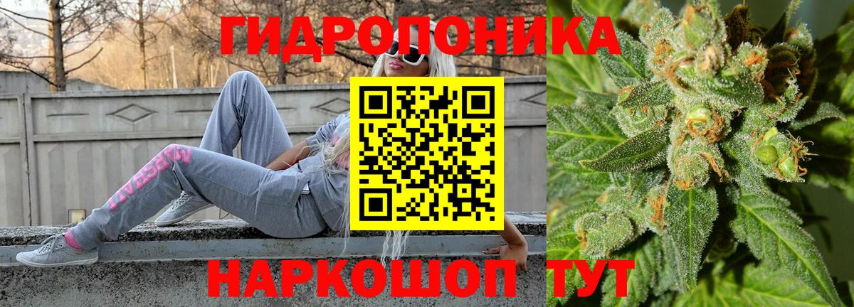 Шишки марихуана сатива  Вход с VPN  Бошки марихуана план  МАРИХУАНА планчик  Бошки марихуана VHQ  Сланцы 